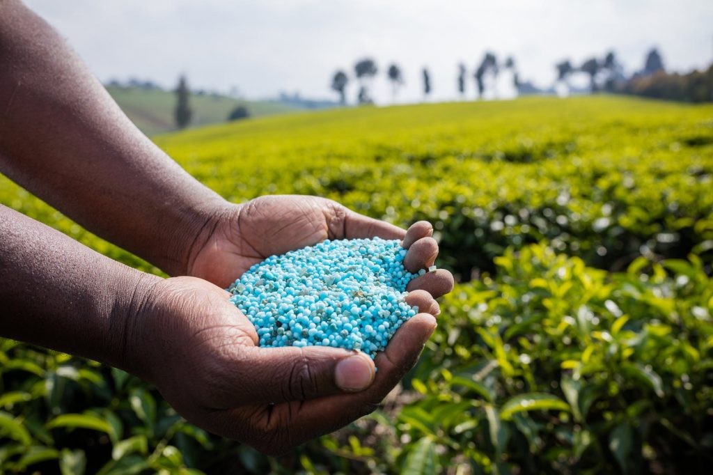 fertilizers (1)